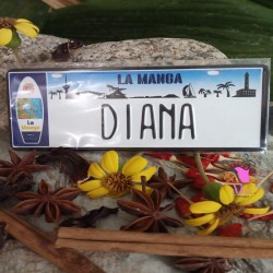 Placa Personalizada Diana