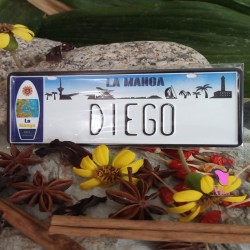 Placa Personalizada Diego