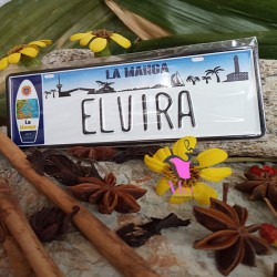 Placa Personalizada Elvira