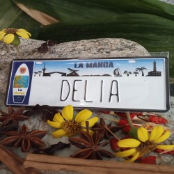 Placa Personalizada Delia