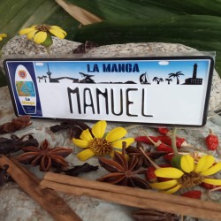 Placa Personalizada Manuel